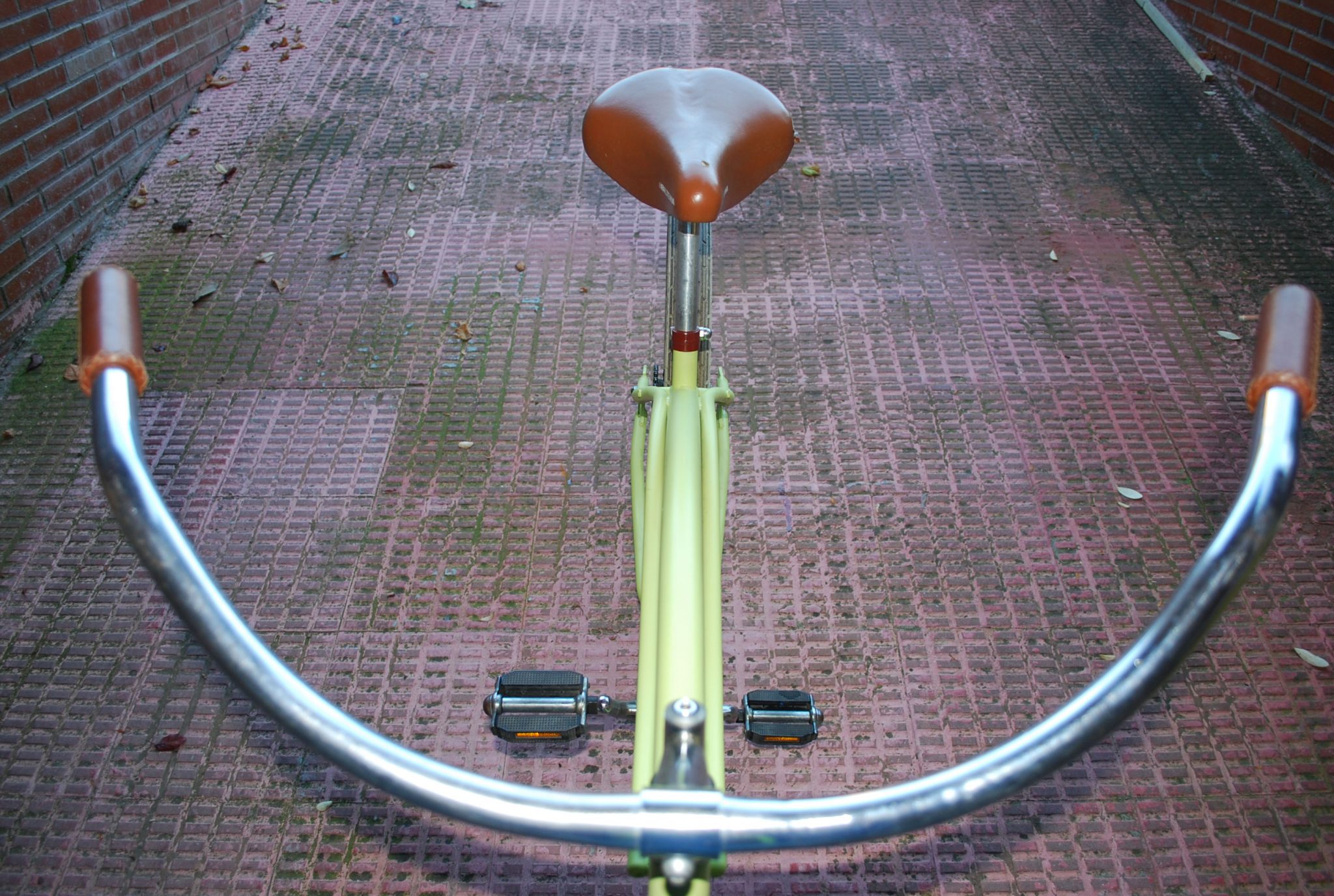 Los Martínez Banco de bicis Alquiler bicicletas cruiser verde